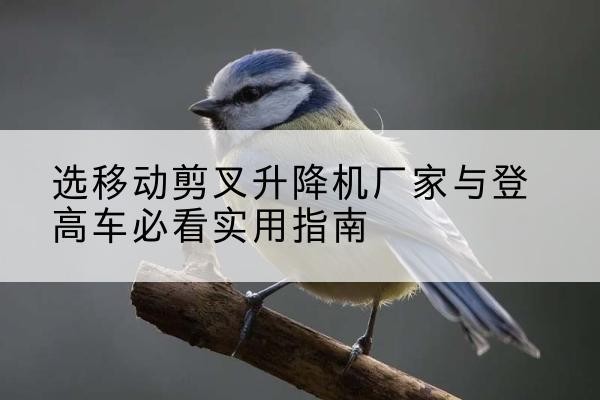 卡若电动升降机厂家-选移动剪叉升降机厂家与登高车必看实用指南