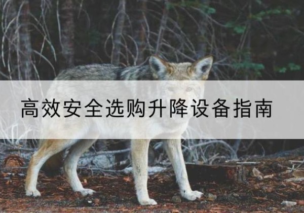 卡若升降货梯厂家推荐-*安全选购升降设备指南
