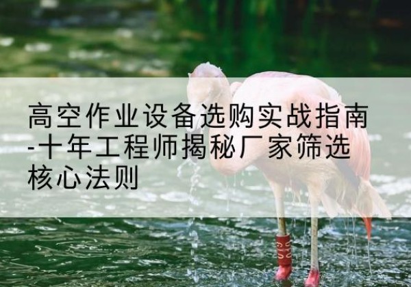 卡若剪叉式升降机厂家-高空作业设备选购实战指南-十年工程师揭秘厂家筛选核心法则
